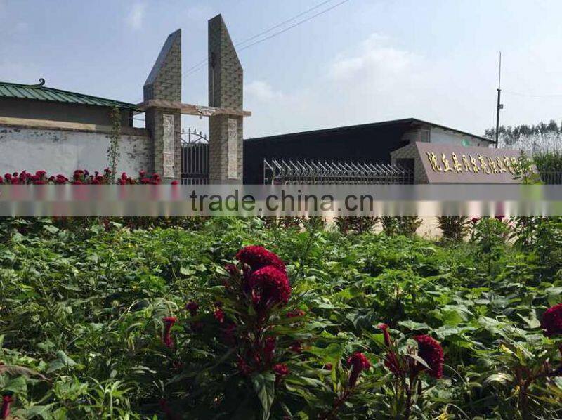 High Quality 2016 New Decorative Candles For Sale