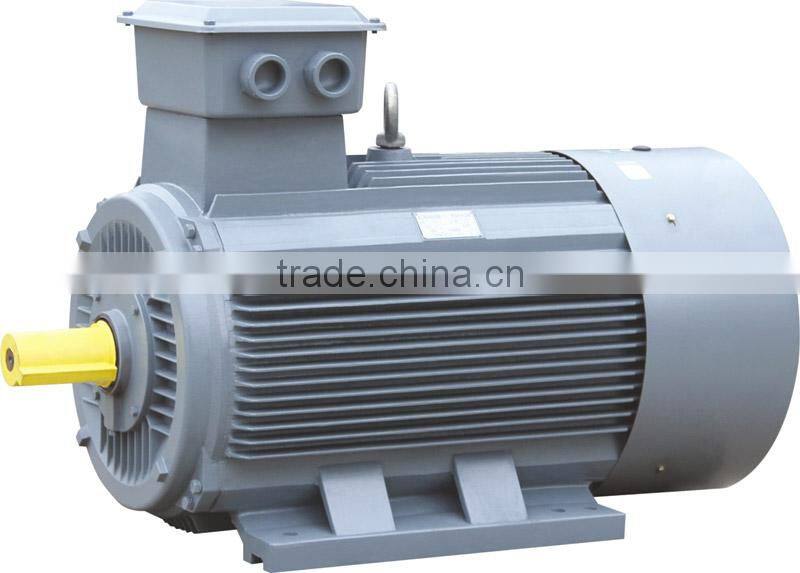 YE3 Three Phase High Efficiency Motor