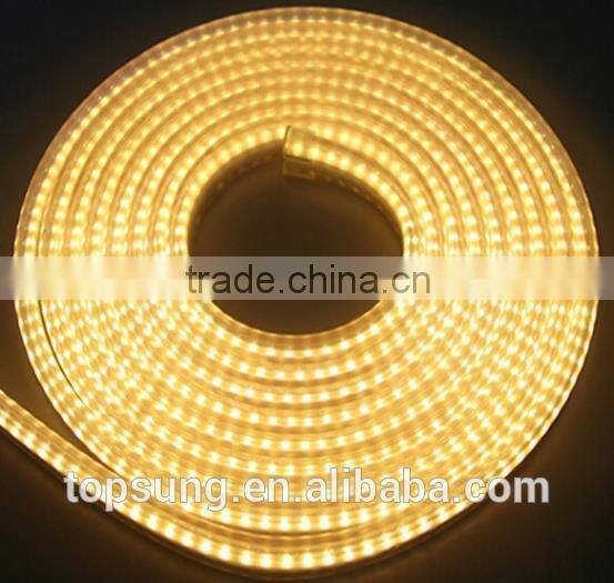 amazing transparent waterproof led neon flex light AC110v