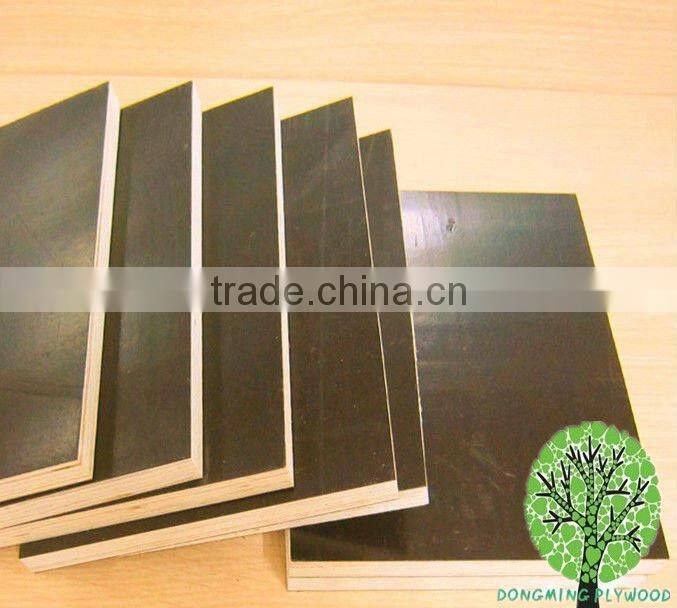 Construction Plywood LVL Pine