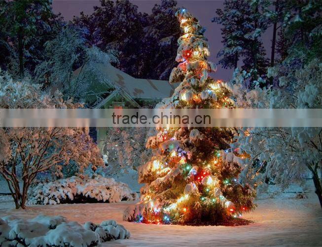 Pure copper wire ball string Battery/adapter powered color changing strand clear copper silver wired invisible rice led lights