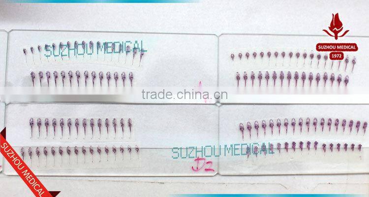 3-5mm 7-9mm 10-11 frog embryo prepared microscope slides