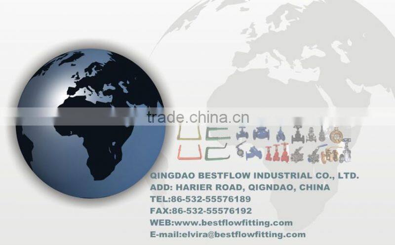 Din19555 Steel Manhole Steps