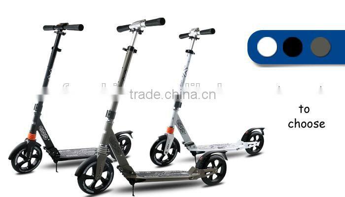 two wheel self balancing/balance scooters