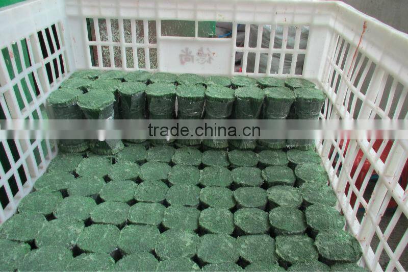 PET Pine Needles For Tree Leaves