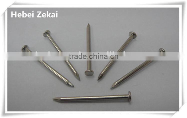 best quallity Q195 common wire nails