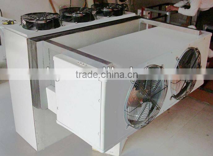 Modular Polyurethane cold storage with monoblock compressor