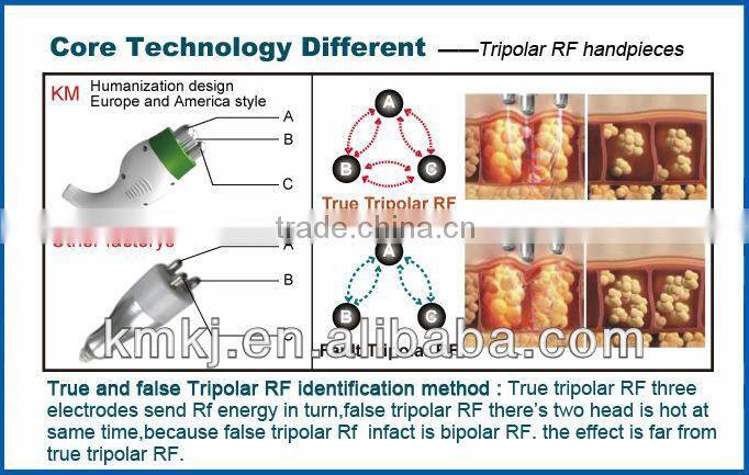 7 in 1 professional vacuum RF fat cavitation slimming system(CE/ISO/TUV)