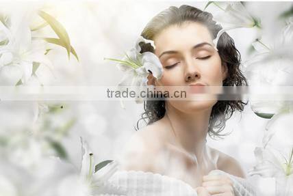 Hot selling q switch nd yag laser multi-function ipl machine with low price