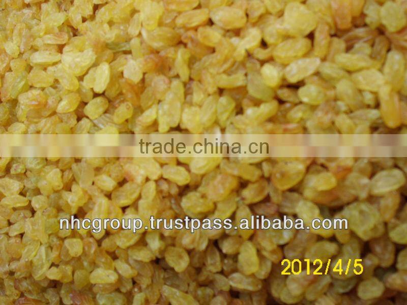 GOLDEN RAISIN (NEW CROP)