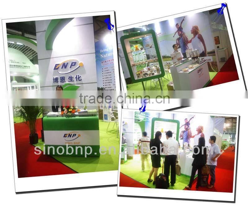 China BNP Manufacture Superior Natural Stevia Leaf Water Extract