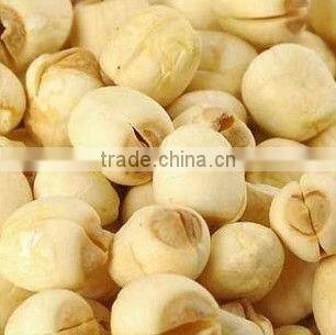 GMP Certified Manufacturer Supply Natural Lotus Seed Extract