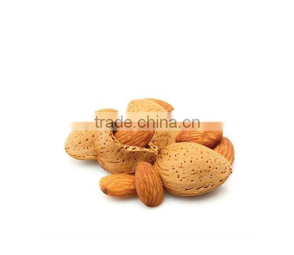 Caramelized Almond (Caramel Coated Almond)