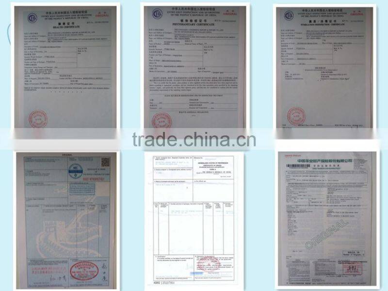 Aspen Genroku Chopsticks Packed with Half Paper Bag