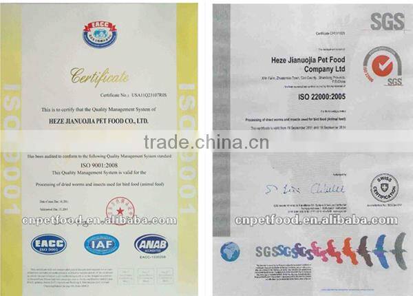 packets food lizard dried silkworm chow