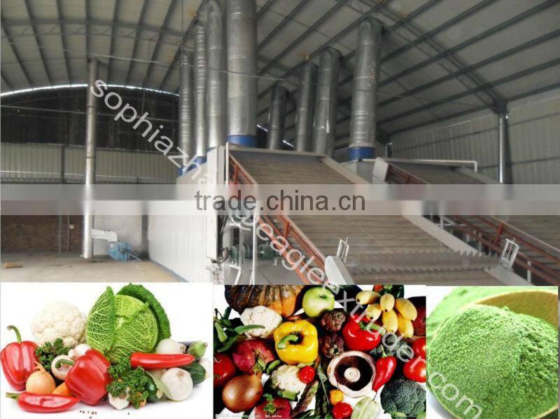 Multifunctional washing machine for vegetables and fruits