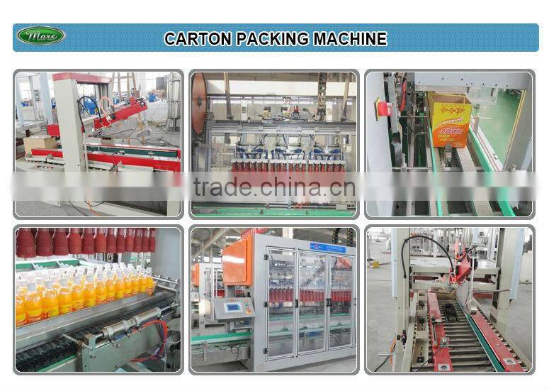 Automatic Carton Packing Machine