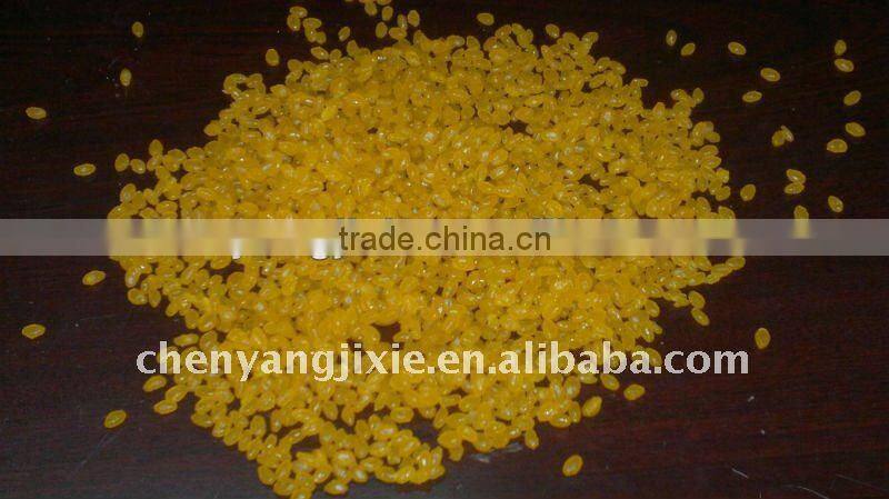 Chinese famous manufacturer instant rice/nutritional rice food production line/machinery