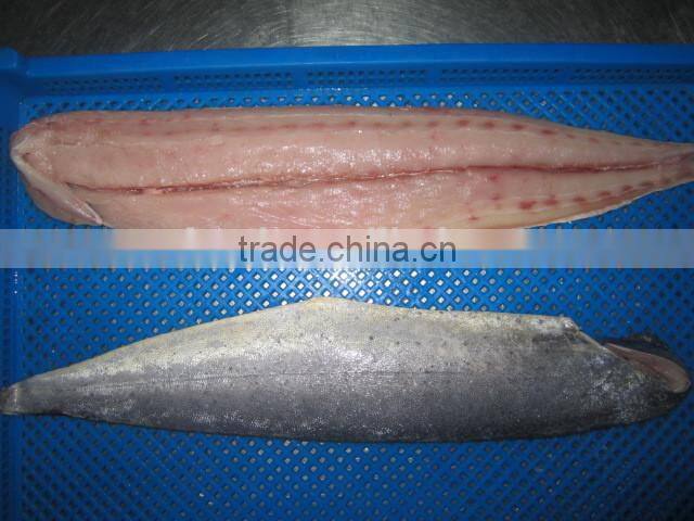 frozen whole and round mahi mahi fillet 1000+