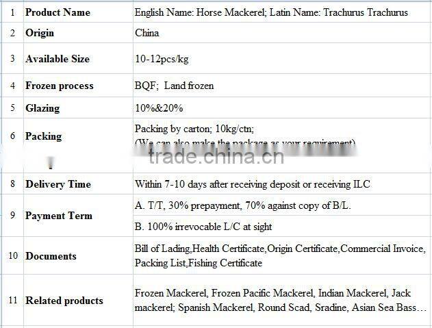 good horse mackeral BQF on sale