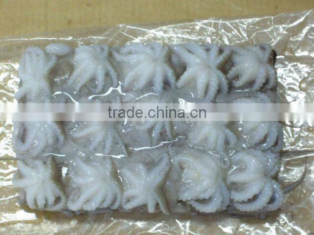FROZEN SEAFOOD OCTOPUS/BABY OCTOPUS