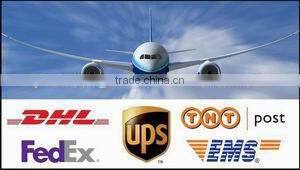 Cheap Gasoline Gardening Tool Chainsaw