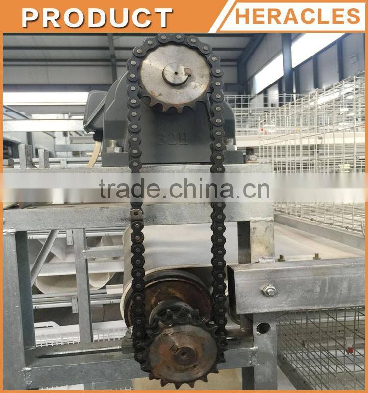 Trade assurance layer chicken cag-- H type cage chicken equipment