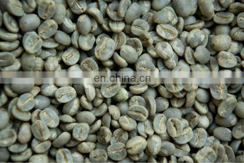 arabica green coffee beans