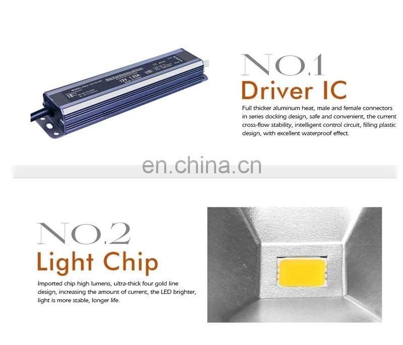 50W LED COB Floodlight IP65 Outdoor 12V 24V DC COB LED Downlight