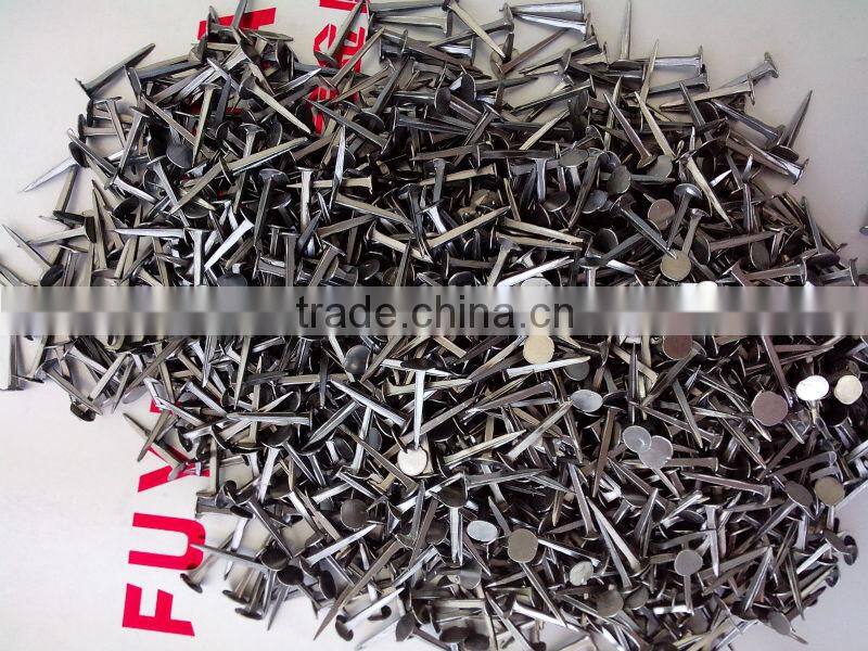 hot saled shoe tack nails(factory)