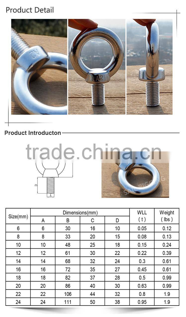 Stainless Steel Eye Bolt