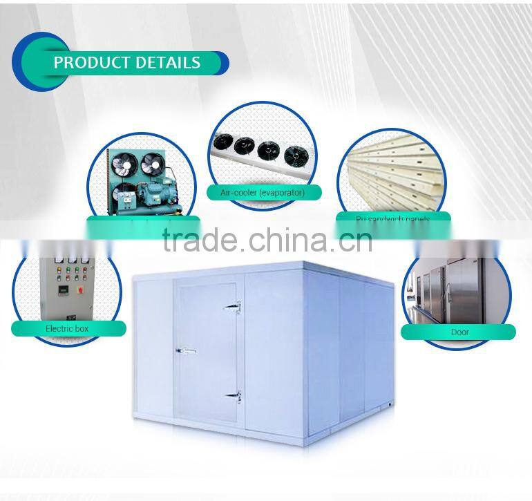 China manufacture fast Delivery pu sandwich panel cold rooms