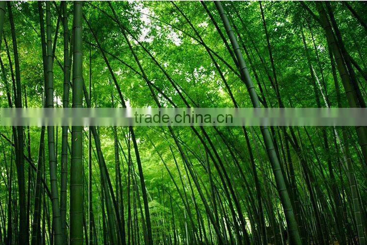 Business card holder, name card holder, card holder, Hotsale Official Supplies Desk Name Card Holder Cheap Small Bamboo Box