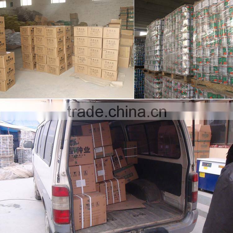 SHIJIA chinese watermelon hybrid seed