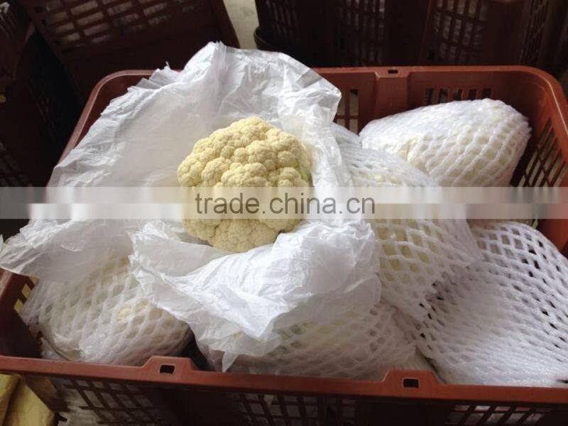 New crop Chinese fresh white cauliflower