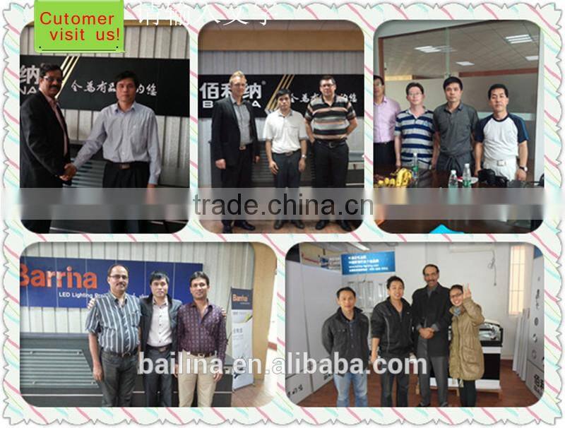 led light Outdoor Waterproof holiday design light Colorful RGB led strip light