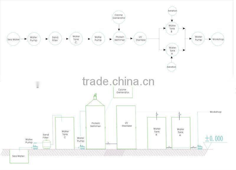 Fish farm protein skimmer for RAS recirculating aquaculture system