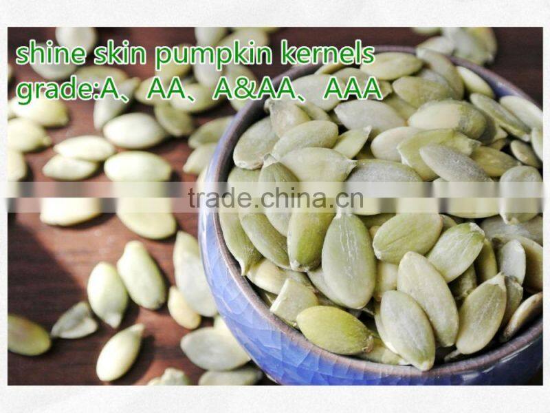Chinese Hot Shine Skin Pumpkin Kernels Best Products for Import