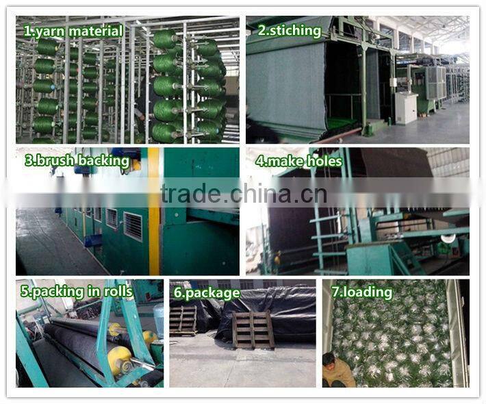 30mm height, green colors with curlve yarn below, monofilament gras yarn, artificial grass wall