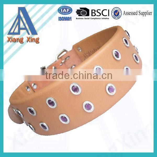 Comfortable padded dog collar adjustable pet collar nylon or leather collar & lead