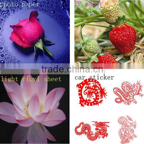 3.2m high speed digital large format flex banner/vinyl ECO solvent inkjet printing machine/printer price
