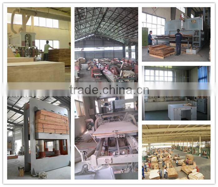 Oak/Okoume/Bintangor/Poplar Face Falcata Core Blockboard