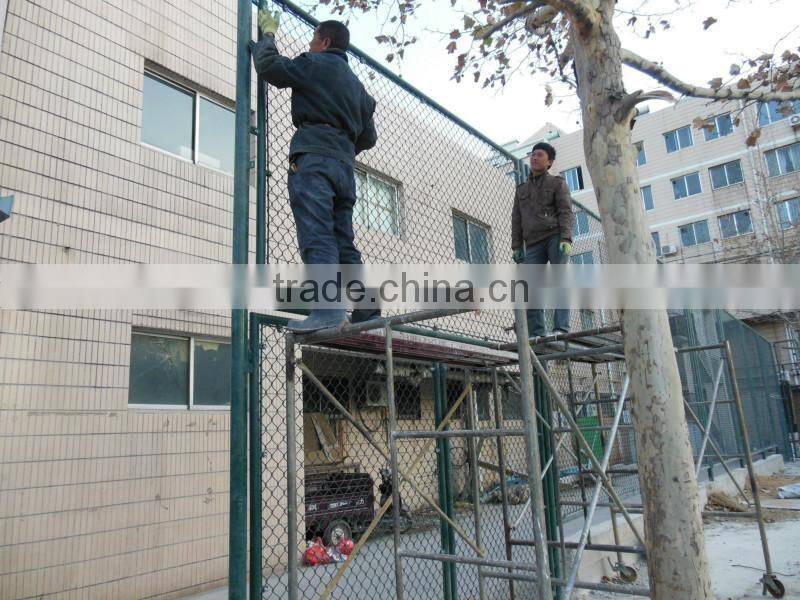 6*6cm chain link fence with cheap price