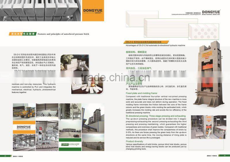 Dongyue Group Sand Lime Solid Brick Plant Project(APB production line)