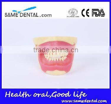 NISSIN Anesthesia extraction model school teaching demonstration