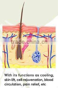 2012 Face Action for Body Contouring & CE