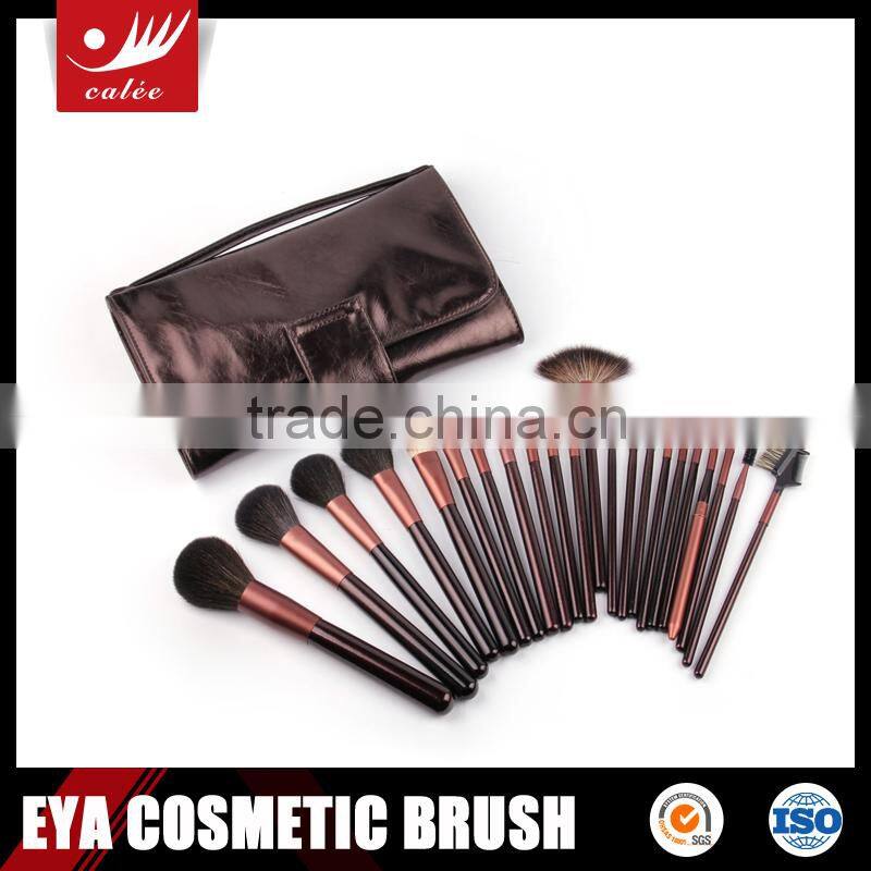 Fashionable 22pcs professional cosmetic brush set with handbag