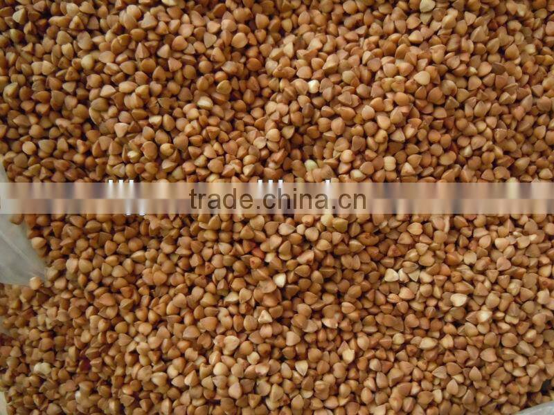 Rosted Buckwheat Kernel,Roasting Buckwheat,Buckwheat