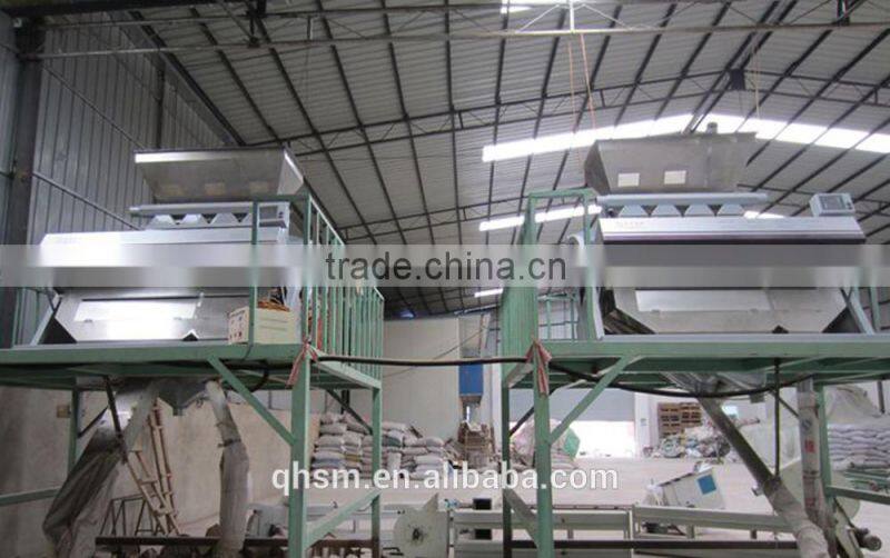 bulk packaging kidney beans, flat white kidney beans for sale