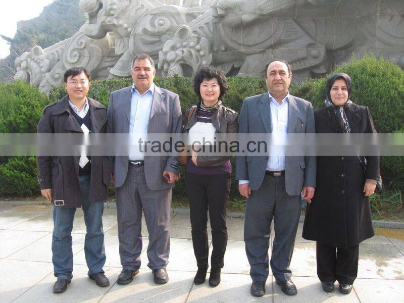 sunflower seeds black long shape 22/64